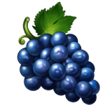 Grapes